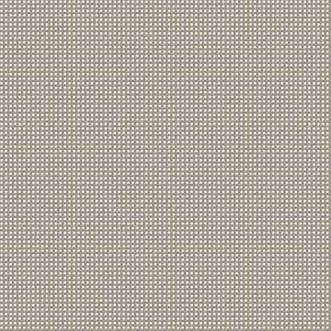 B22- BATYLINE ISO ASH